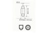SCT Germany 202099 Bulb, boot interior light